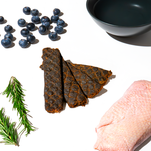 DUCK & BLUEBERRY JERKY (115g)