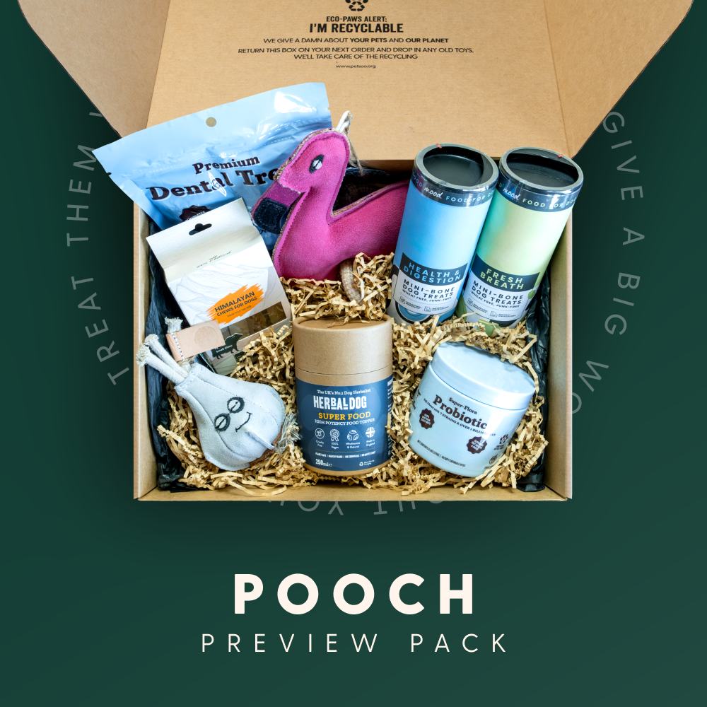 Pooch box best sale